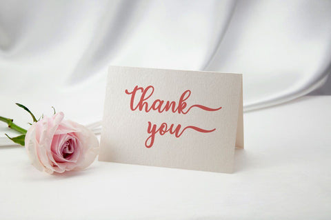 medyna script Font Anastasia 