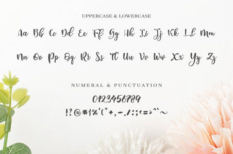 medyna script Font Anastasia 