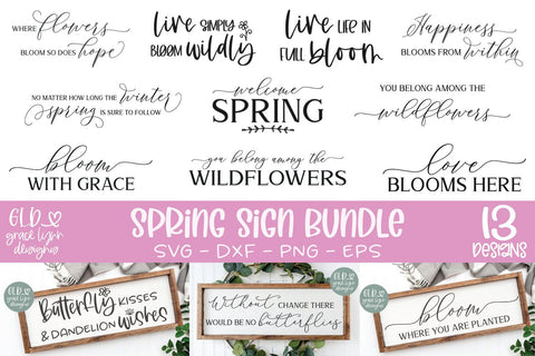 Mega SVG Bundle Vol. 2 | Huge Bundle of Bundles | 170 SVG Designs SVG Grace Lynn Designs 