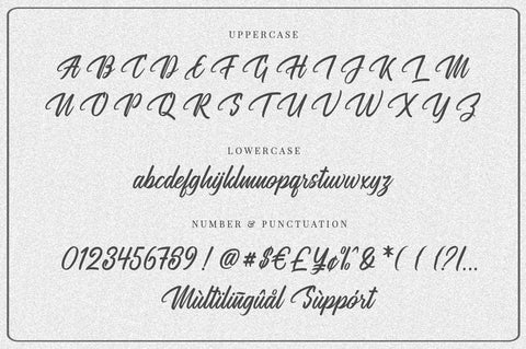 Megatype Script Font Megatype 