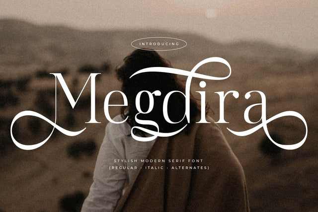 Megdira Typeface Font Storytype Studio 