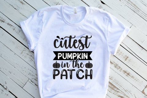 Mege SVG Design Bundle SVG Rupkotha 