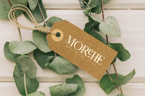 Megihari Typeface Font Storytype Studio 