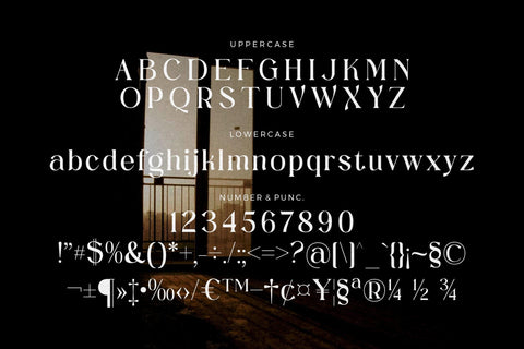 Megitran Carolinesh Font Duo SVG Storytype Studio 