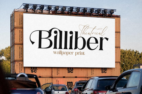 Megitran Carolinesh Font Duo SVG Storytype Studio 