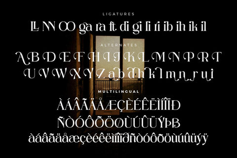 Megitran Carolinesh Font Duo SVG Storytype Studio 