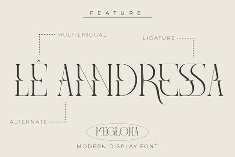 Meglona Typeface Font Storytype Studio 
