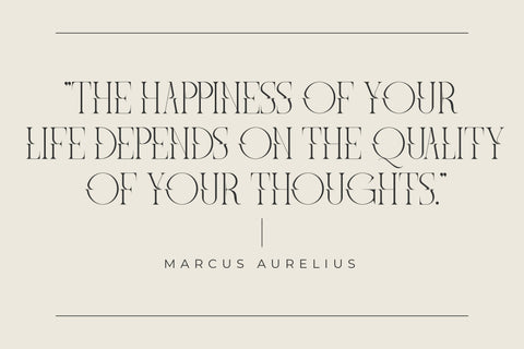 Meglona Typeface Font Storytype Studio 