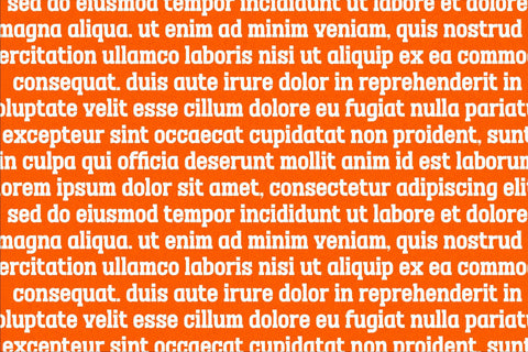 Megolan Typeface Font Storytype Studio 