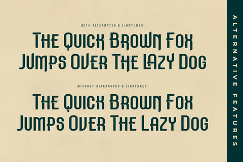 Meholrax Typeface Font Storytype Studio 
