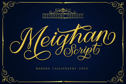 Meighan Script Font Lettersams 