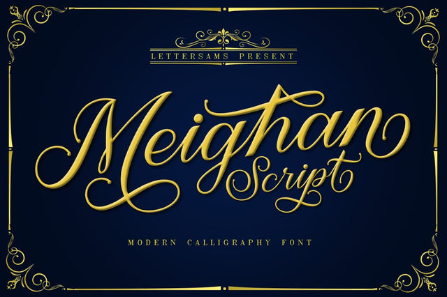 Meighan Script Font Lettersams 