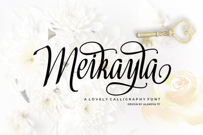 Meikayla Font Akrt Std 