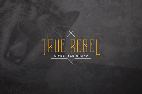 Melancholy Display Typeface + Extra Font VPcreativeshop 