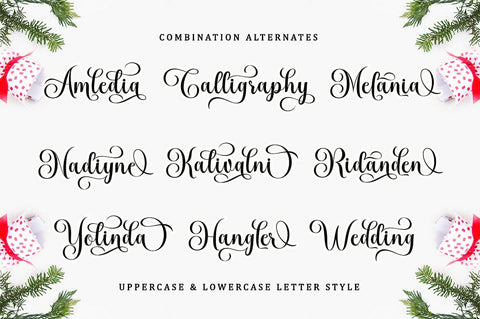 Melinda Bladegia Script Font Font BungStudio 