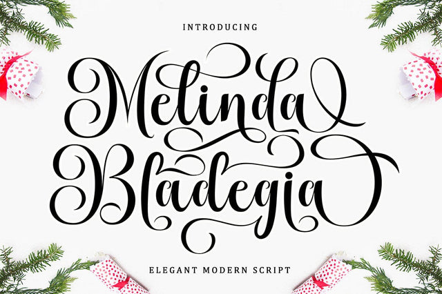 Melinda Bladegia Script Font Font BungStudio 