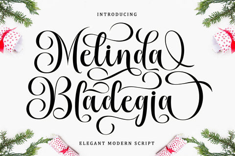 Melinda Bladegia Script Font Font BungStudio 