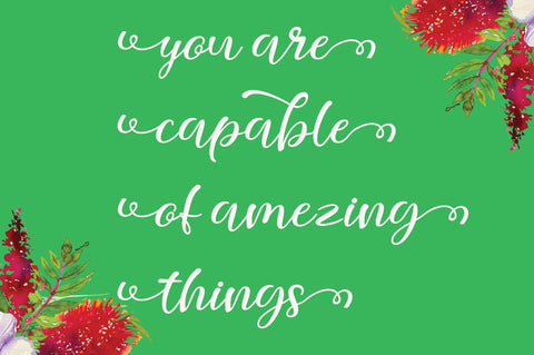 Melisa Script Font muhammadzeky 