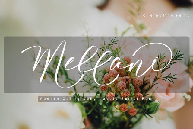 Mellani Font PolemStudio