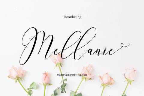 Mellanie Font Naqsya.Co 