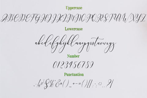 Mellanie Font Naqsya.Co 