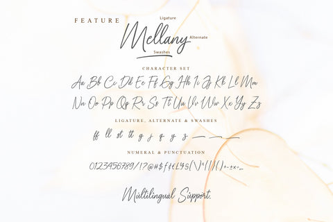 Mellany Script Font Font Balevgraph Studio 