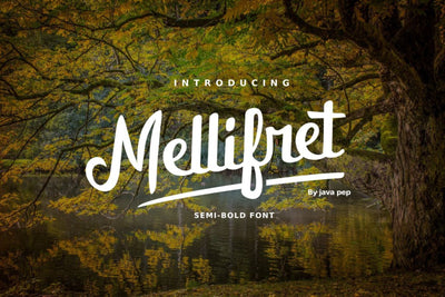 Mellifret script font Font Javapep 