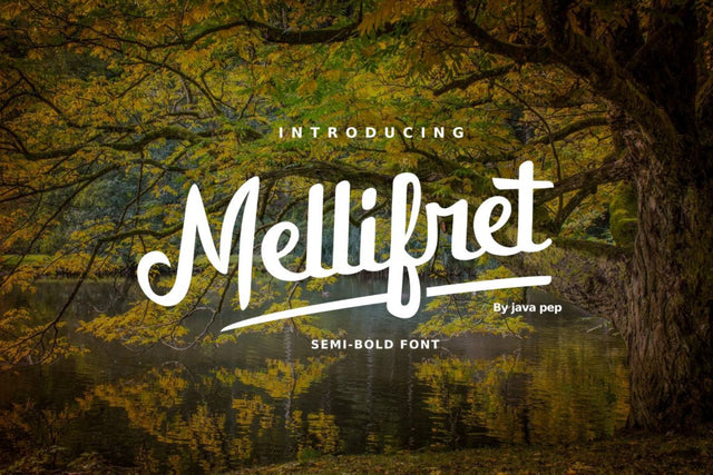 Mellifret script font Font Javapep 