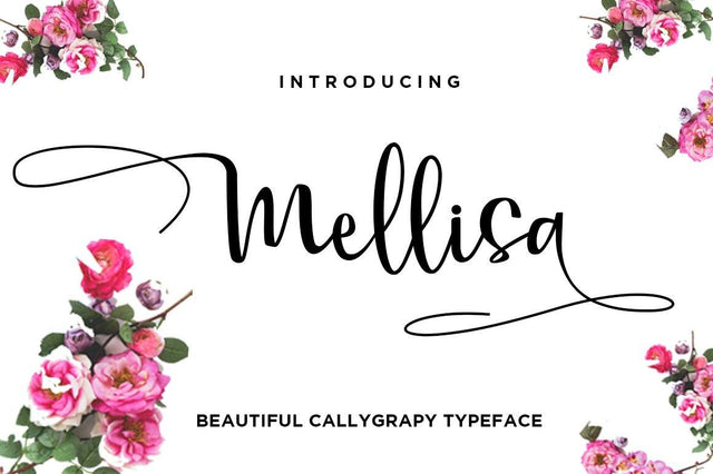 Mellisa Modern Calligraphy Font Font Haksen 