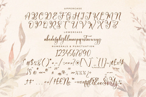 Mellodi Roosthm - Beautiful Script Font Font Storytype Studio 