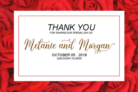 Melly Script Font AngelStudio 