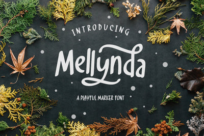 Mellynda Font Arterfak Project 