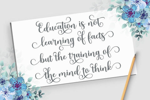 Meltisia Script Font Rastype 