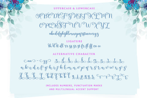 Meltisia Script Font Rastype 