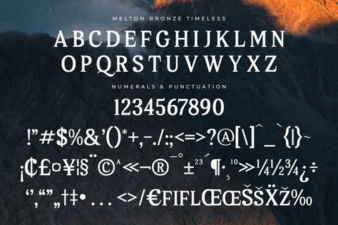 Melton Bronze Timeless Typeface Font Storytype Studio 