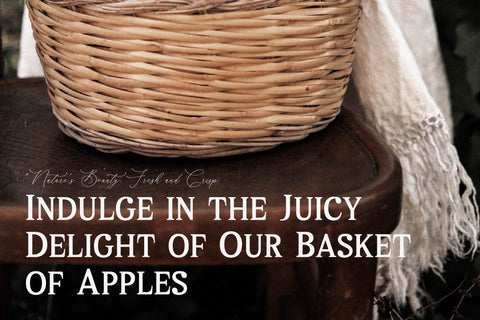 Melton Bronze Timeless Typeface Font Storytype Studio 