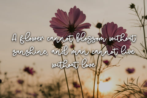 Melukis Senja Font Stefani Letter 