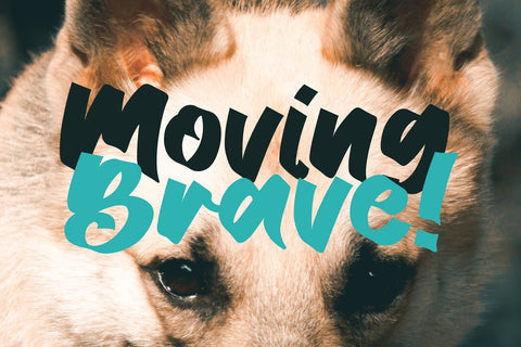 Melvines Font letterstockstd 