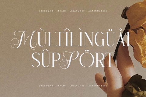 Menasha Brown Typeface Font Storytype Studio 