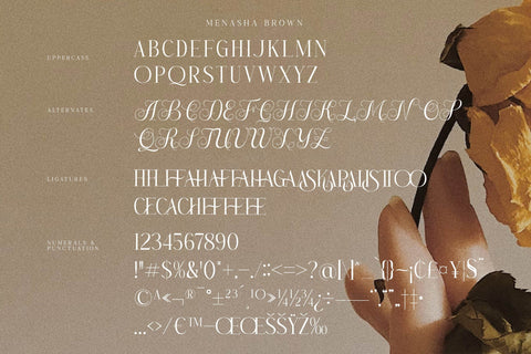 Menasha Brown Typeface Font Storytype Studio 