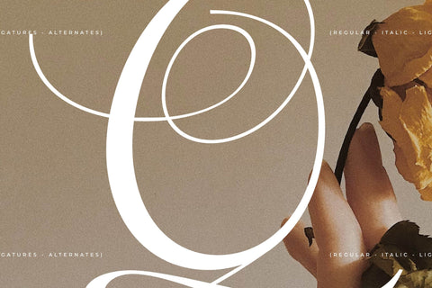 Menasha Brown Typeface Font Storytype Studio 