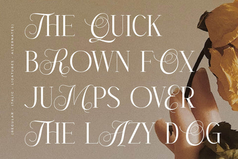 Menasha Brown Typeface Font Storytype Studio 