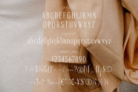 Mendalion Typeface Font Storytype Studio 