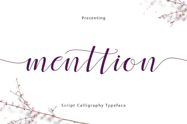 Menttion Script Font Fadeline Std. 