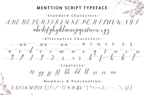 Menttion Script Font Fadeline Std. 