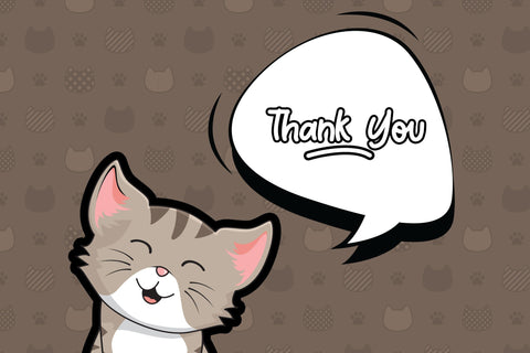 Meow Meong Font Jun Creative 