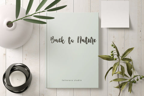 Merijola Font Letterara 