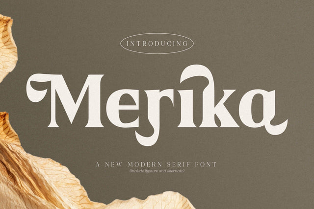 Merika Typeface Font Storytype Studio 