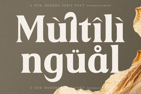 Merika Typeface Font Storytype Studio 