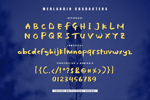 Merlandio | INTRO SALE 50% OFF Font Fadeline Std. 